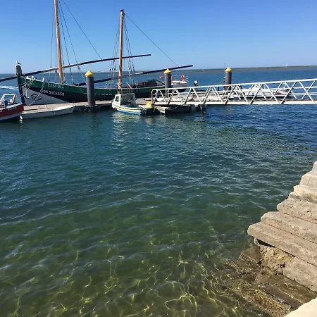Daire Floripes Luxury With Pool On Rooftop